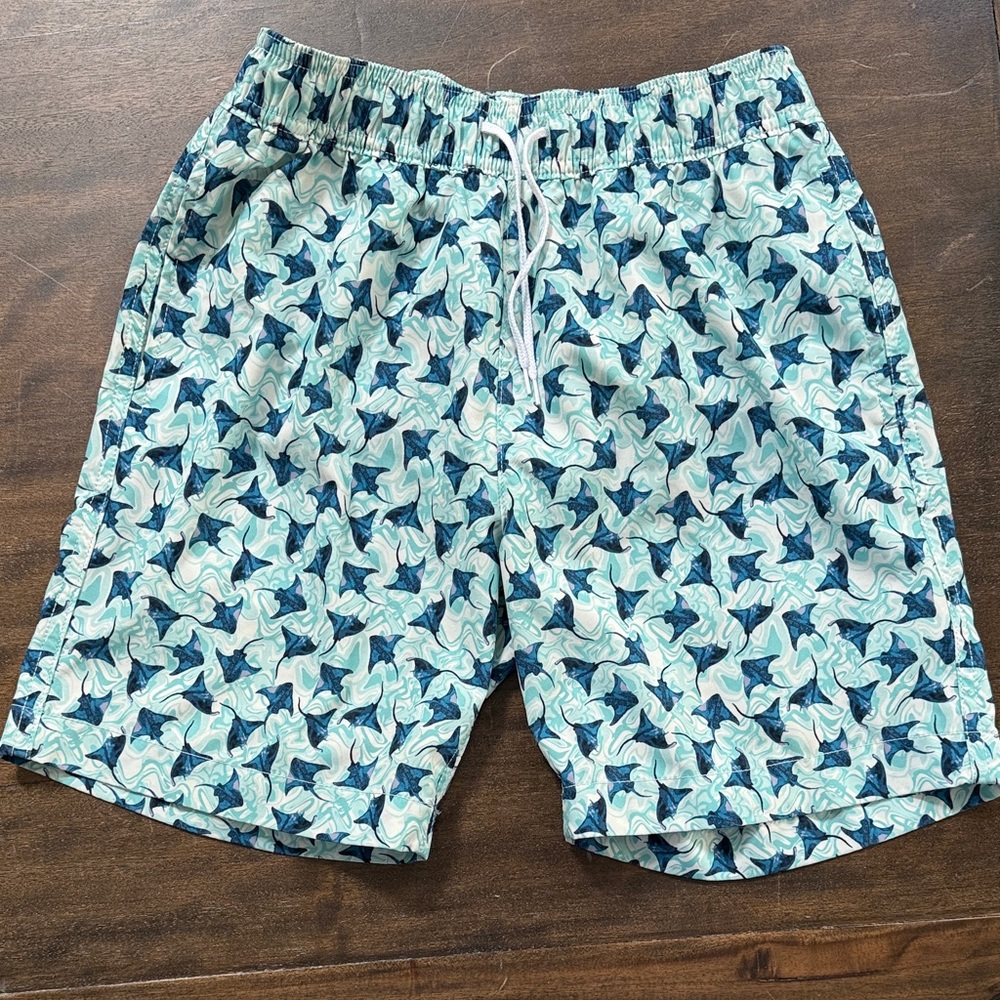 Crewcuts stingray boys swim size 12